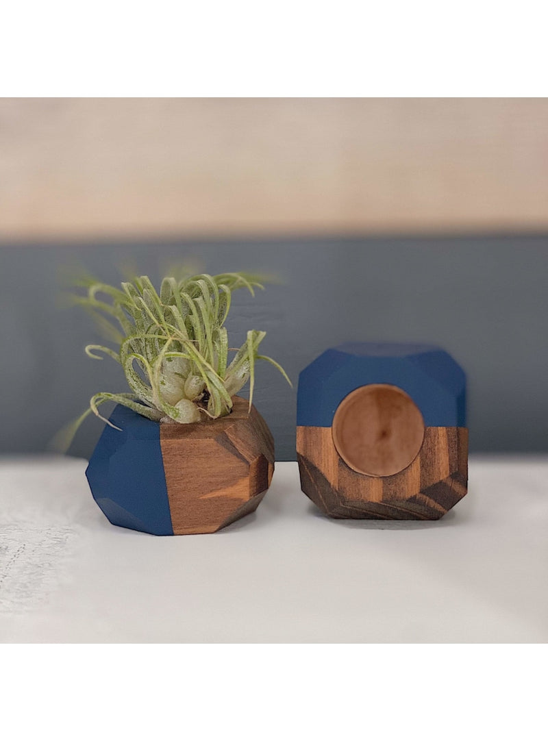 Goodsmith Home Small Geo Air Plant Holder in Navy Blue Valia Honolulu